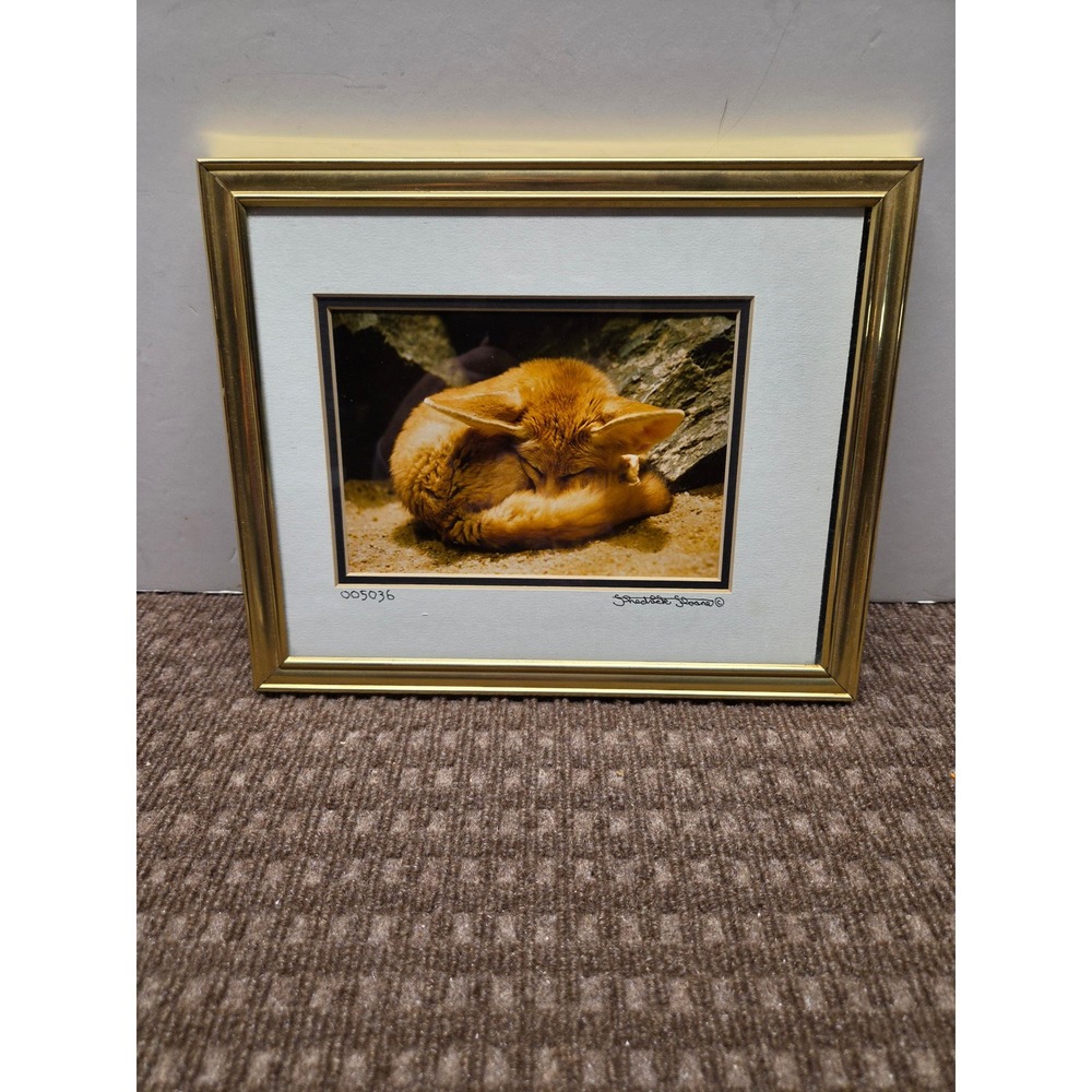 Shedrick Sloane Signed Framed Photo Sleeping Fennec Fox 005036 Gold Frame